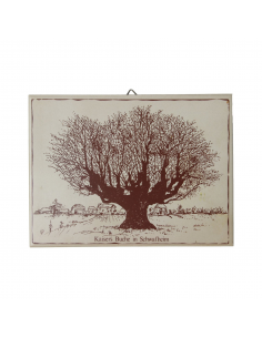 Ceramiczna płytka, AWS...